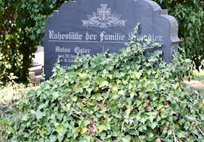 Podbořany k Valovu, Omnium, 2020