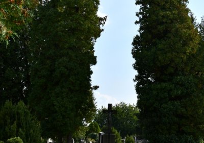 Podbořany k Valovu, Omnium, 2020