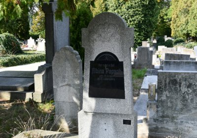 Podbořany k Valovu, Omnium, 2020