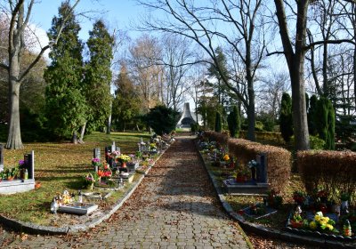 Podbořany městský, Omnium, 2020