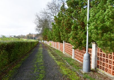 Podbořany městský, Omnium, 2020