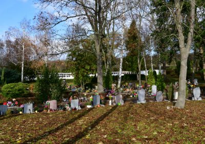 Podbořany městský, Omnium, 2020