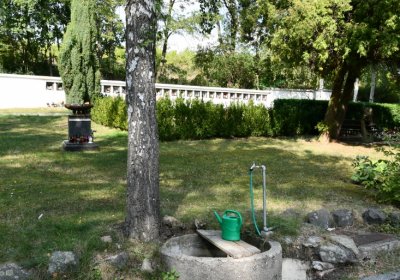 Podbořany městský, Omnium, 2020