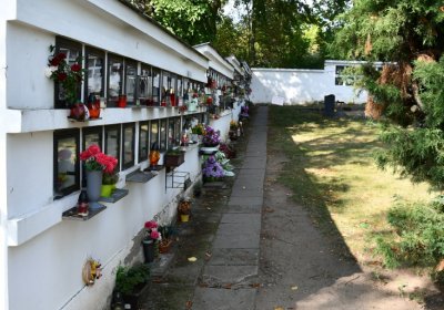 Podbořany městský, Omnium, 2020