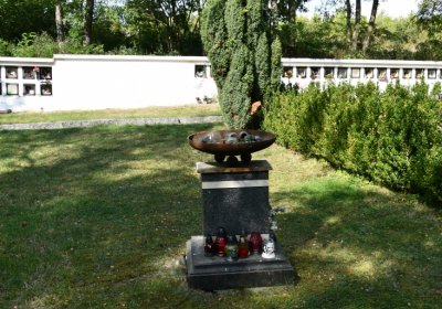 Podbořany městský, Omnium, 2020