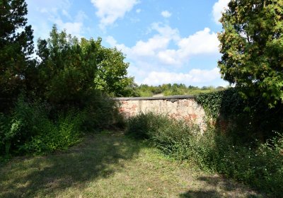 Podbořany městský, Omnium, 2020