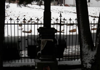 Lašťovka Milan, 2016