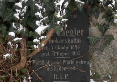 Lašťovka Milan, 2016