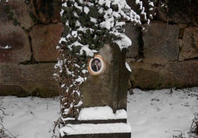 Lašťovka Milan, 2016