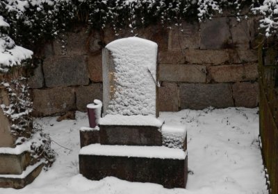 Lašťovka Milan, 2016