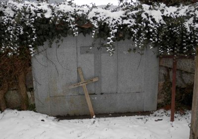 Lašťovka Milan, 2016