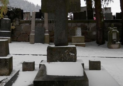 Lašťovka Milan, 2016