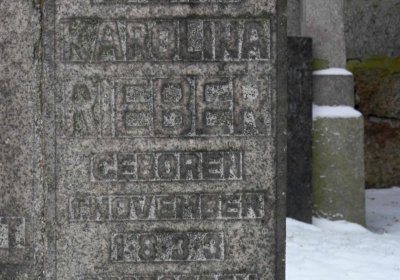 Lašťovka Milan, 2016