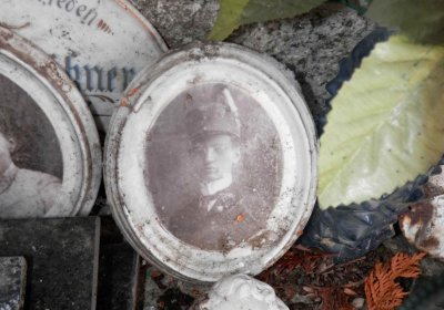 Lašťovka Milan, 2016