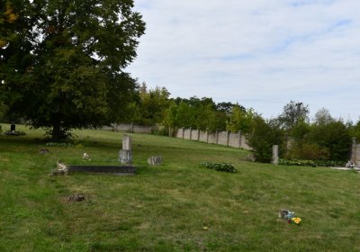 Kněžice obecní, Omnium, 2020