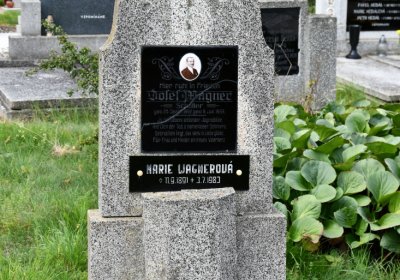 Kněžice obecní, Omnium, 2020