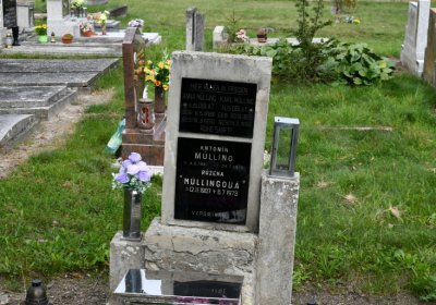 Kněžice obecní, Omnium, 2020