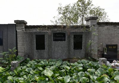 Kněžice obecní, Omnium, 2020