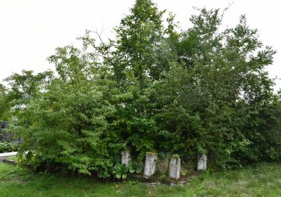 Kněžice obecní, Omnium, 2020