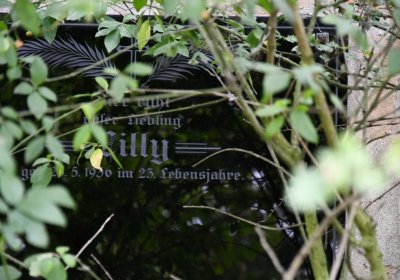 Kněžice obecní, Omnium, 2020