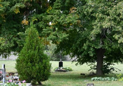 Kněžice obecní, Omnium, 2020