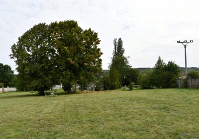 Kněžice obecní, Omnium, 2020