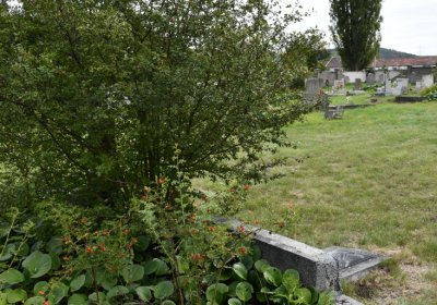 Kněžice obecní, Omnium, 2020