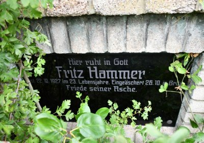 Kněžice obecní, Omnium, 2020