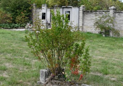 Kněžice obecní, Omnium, 2020