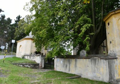 Buškovice, Omnium, 2020