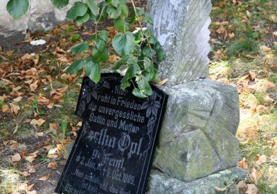 Hlubany, Omnium, 2020