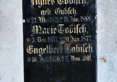 Hlubany, Omnium, 2020