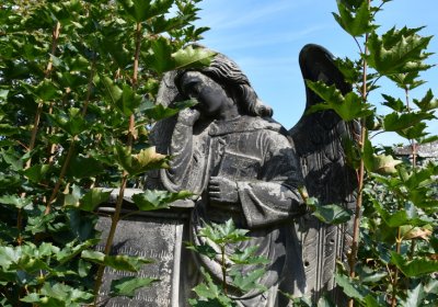 Hlubany, Omnium, 2020