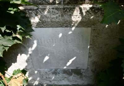 Hlubany, Omnium, 2020