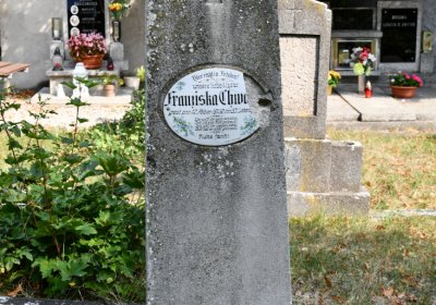 Hlubany, Omnium, 2020