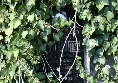 Hlubany, Omnium, 2020