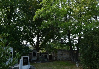 Hlubany, Omnium, 2020