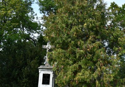 Hlubany, Omnium, 2020