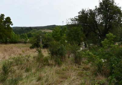 Kněžice u kostela, Omnium, 2020