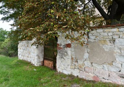 Kněžice u kostela, Omnium, 2020