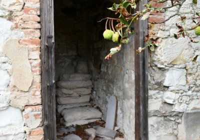 Kněžice u kostela, Omnium, 2020