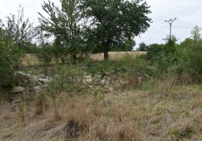 Kněžice u kostela, Omnium, 2020