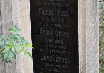 Kněžice u kostela, Omnium, 2020