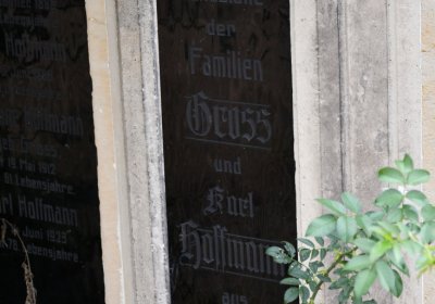 Kněžice u kostela, Omnium, 2020