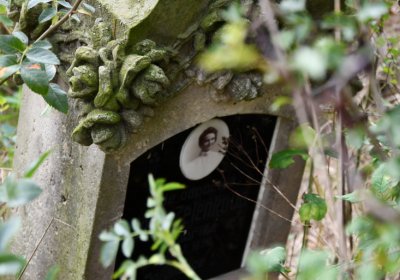 Kněžice u kostela, Omnium, 2020