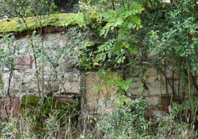 Kněžice u kostela, Omnium, 2020