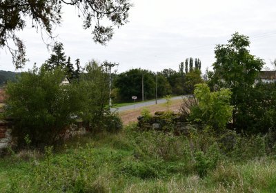 Kněžice u kostela, Omnium, 2020