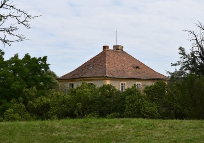 Kněžice u kostela, Omnium, 2020