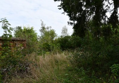 Kněžice u kostela, Omnium, 2020