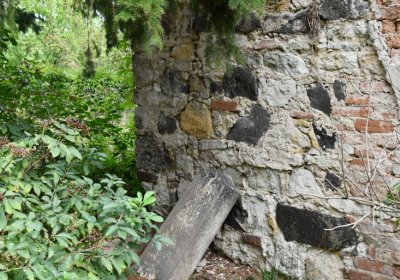 Kněžice u kostela, Omnium, 2020